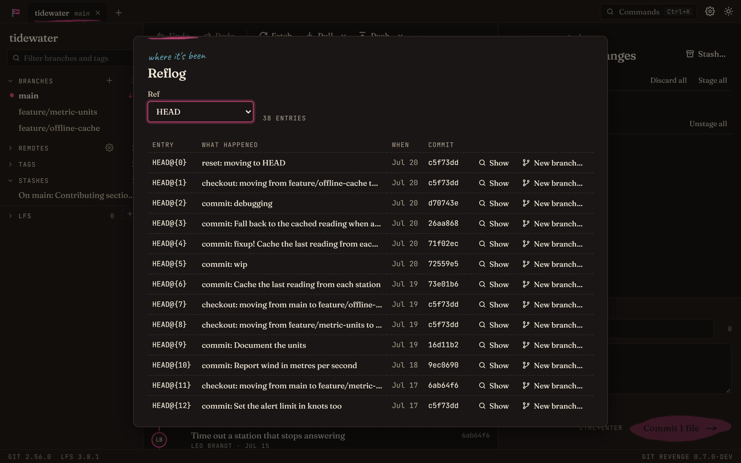 The reflog: each move of HEAD, newest first, with Show and New branch buttons
