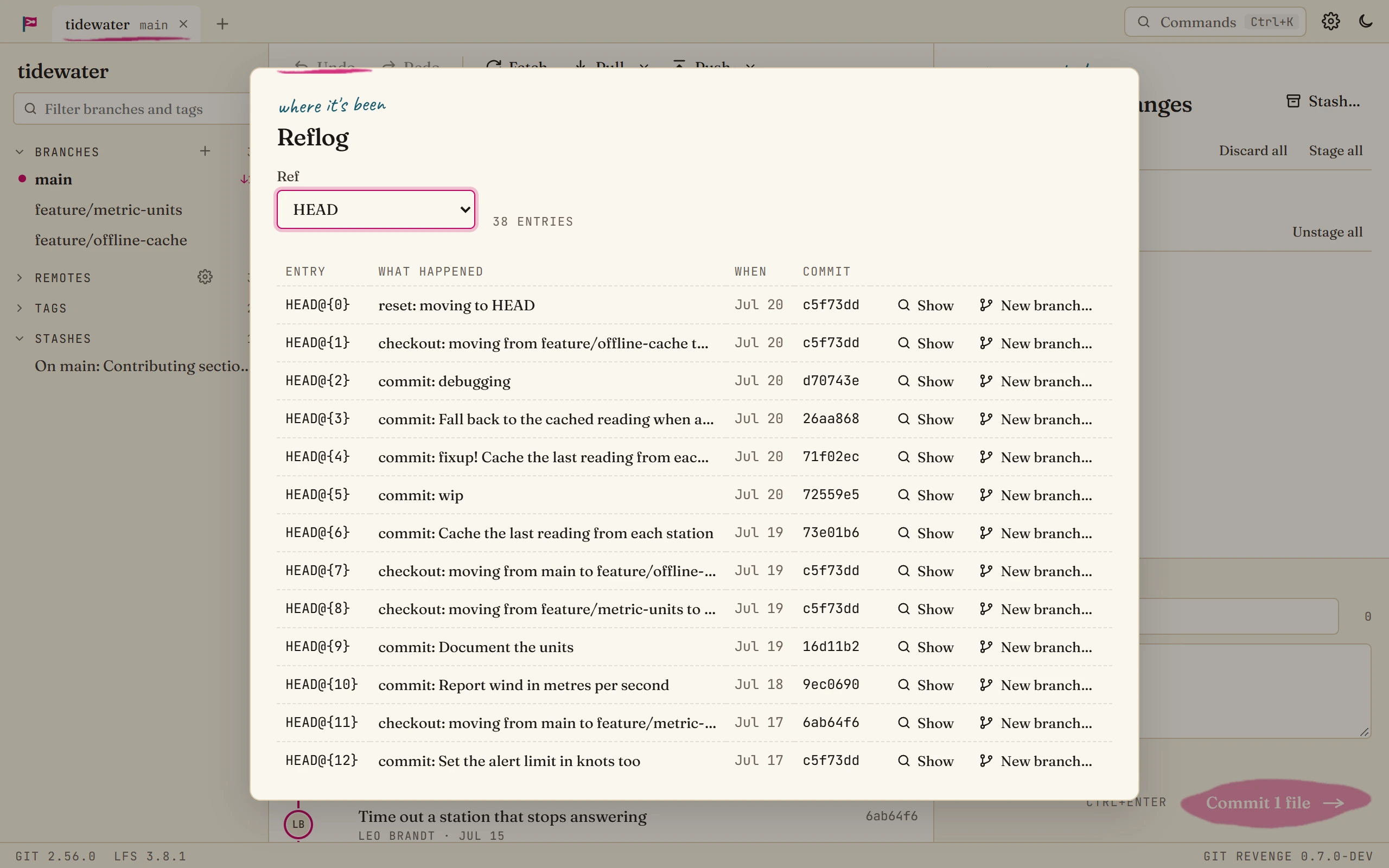 The reflog: each move of HEAD, newest first, with Show and New branch buttons